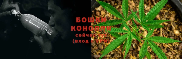 гидра Липки