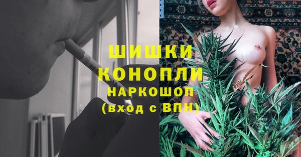 СК Вязьма