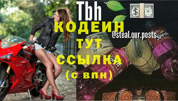 прущие грибы Вязники