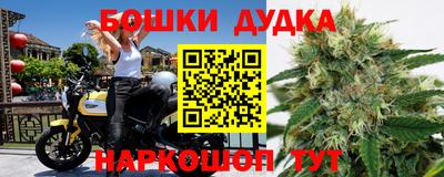 индика Беслан