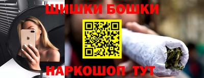 индика Беслан