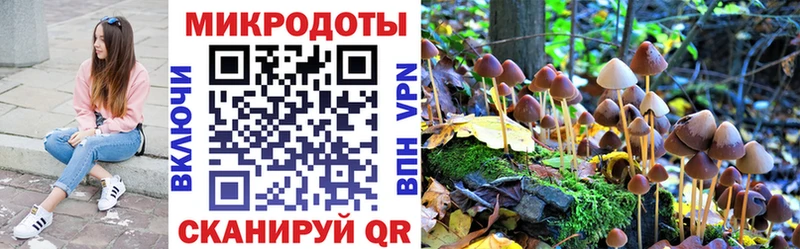 Галлюциногенные грибы мицелий  блэк спрут маркетплейс  Губкин 
