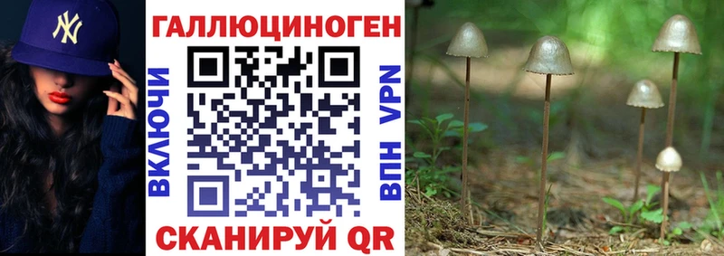 Псилоцибиновые грибы Psilocybine cubensis Губкин
