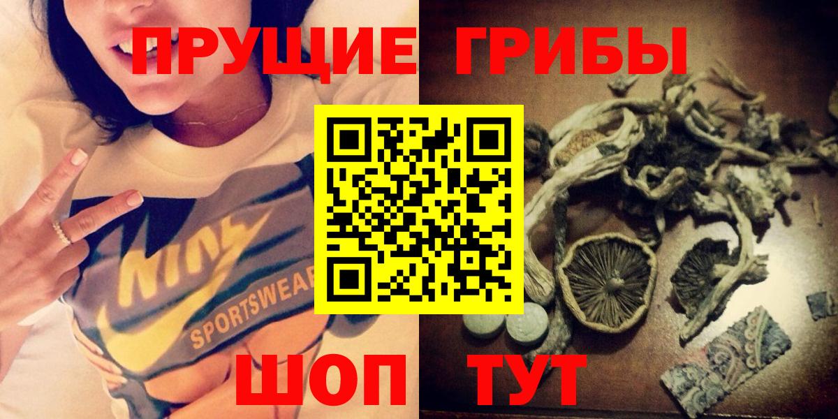 Галлюциногенные грибы Magic Shrooms  Губкин  Галлюциногенные грибы Psilocybine cubensis 