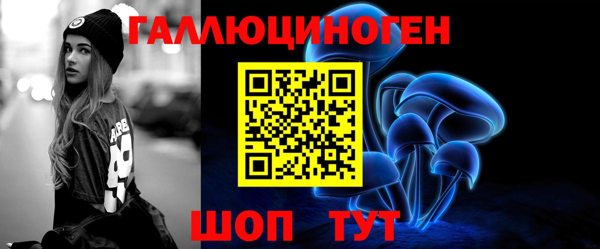 Губкин  Псилоцибиновые грибы Cubensis  Вход с VPN 